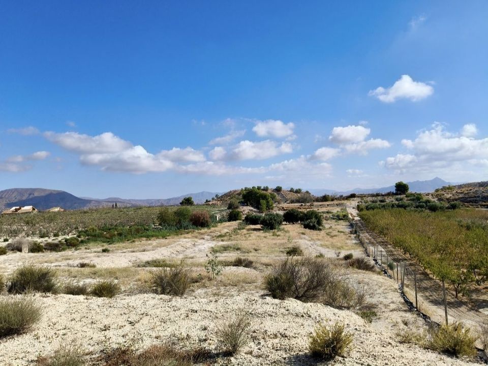 Helårsgrund i Fortuna, Murcia - foto 4