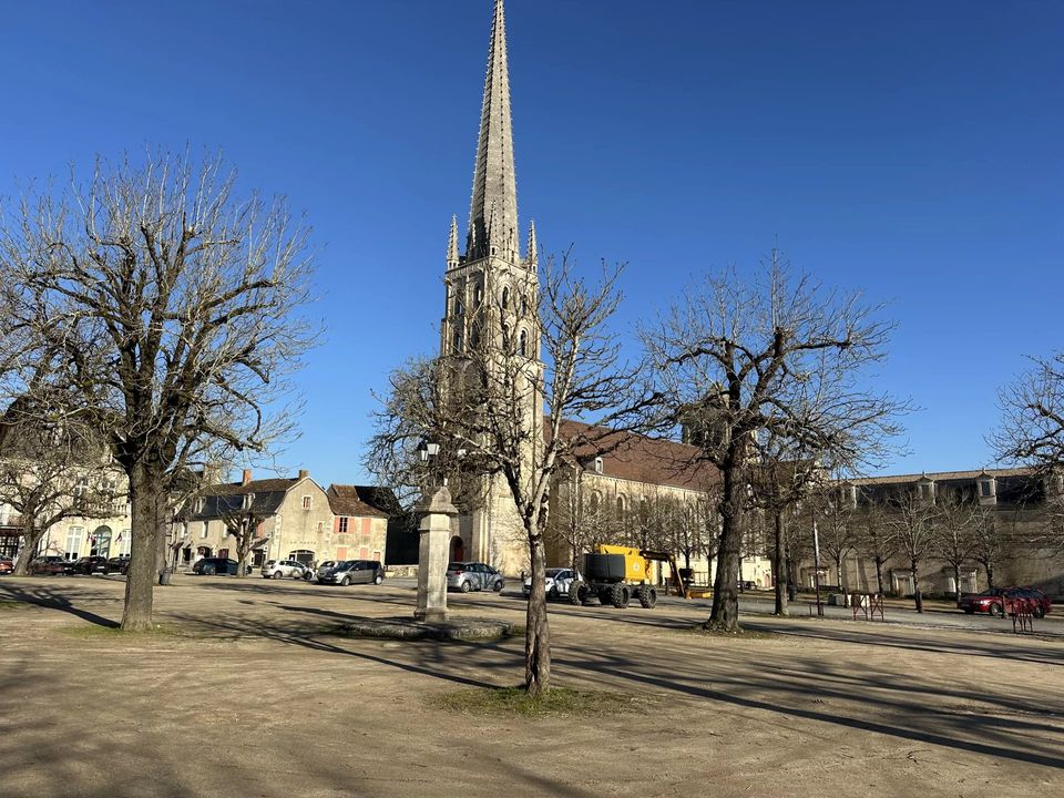 Erhvervsejendom i Saint-Savin, Vienne - foto 2