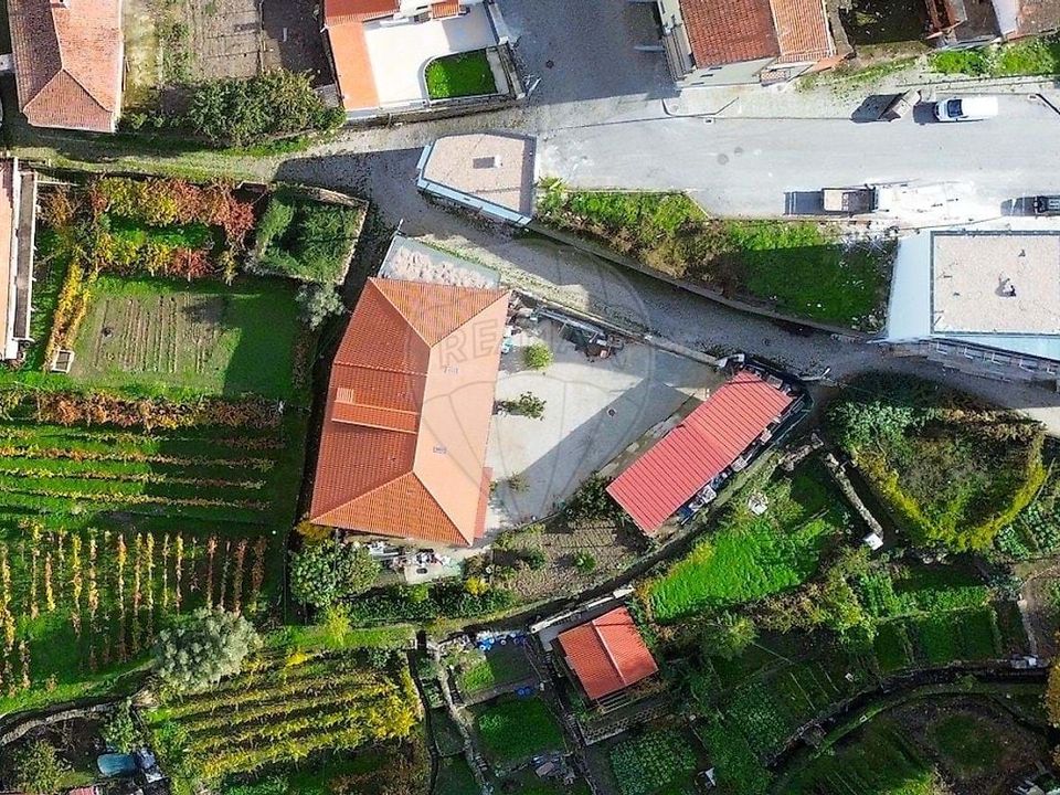 Erhvervsejendom i Sao Joao da Pesqueira, Viseu - foto 2