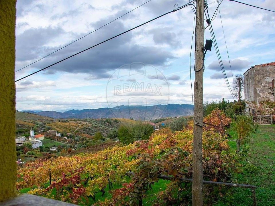 Erhvervsejendom i Sao Joao da Pesqueira, Viseu - foto 4