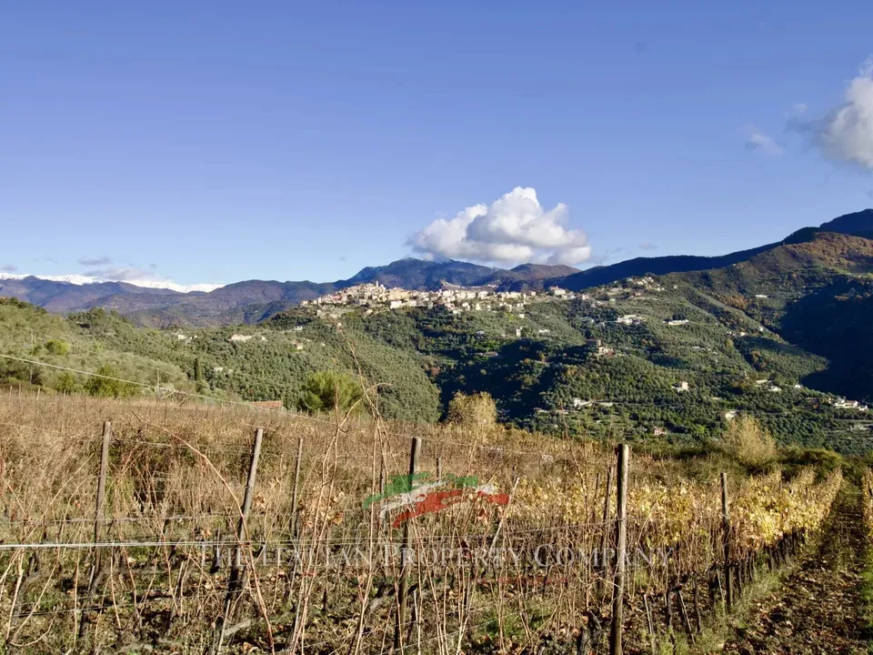Helårsgrund i Perinaldo, Imperia - foto 1