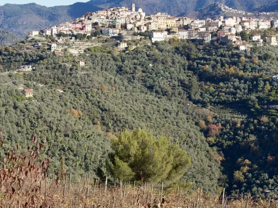 Helårsgrund i Perinaldo, Imperia - foto 3
