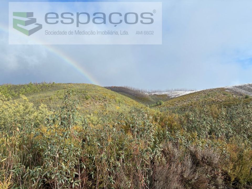 Helårsgrund i Fundao, Castelo Branco - foto 1