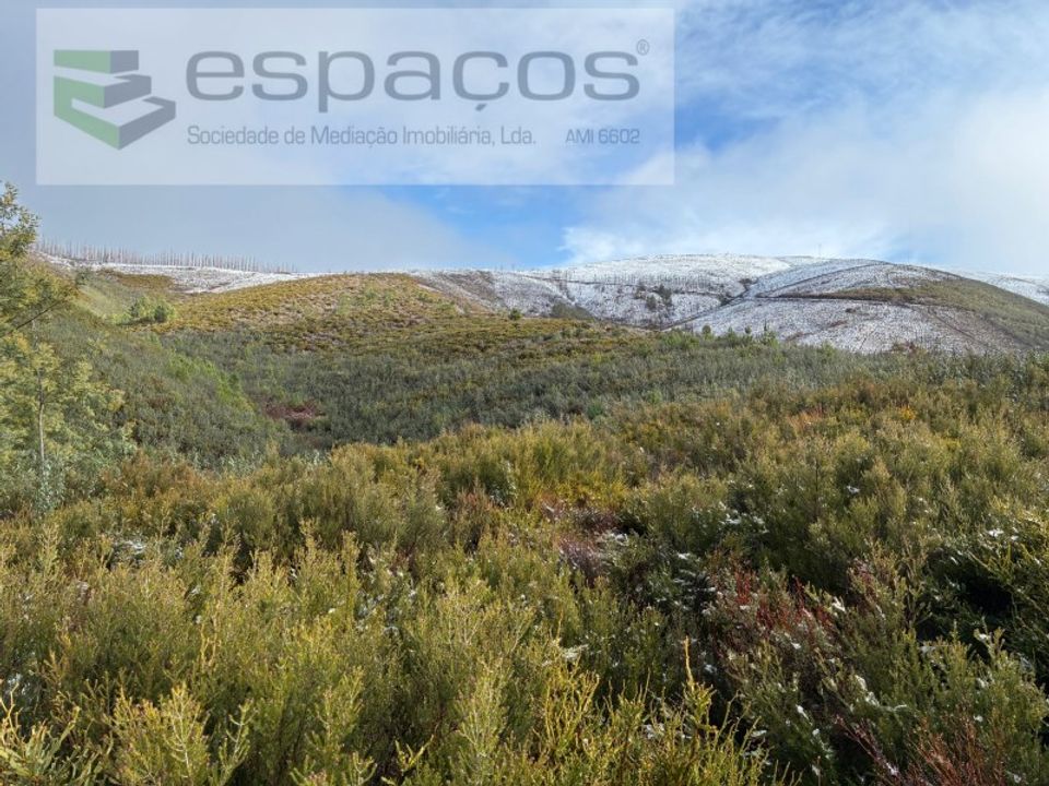 Helårsgrund i Fundao, Castelo Branco - foto 2
