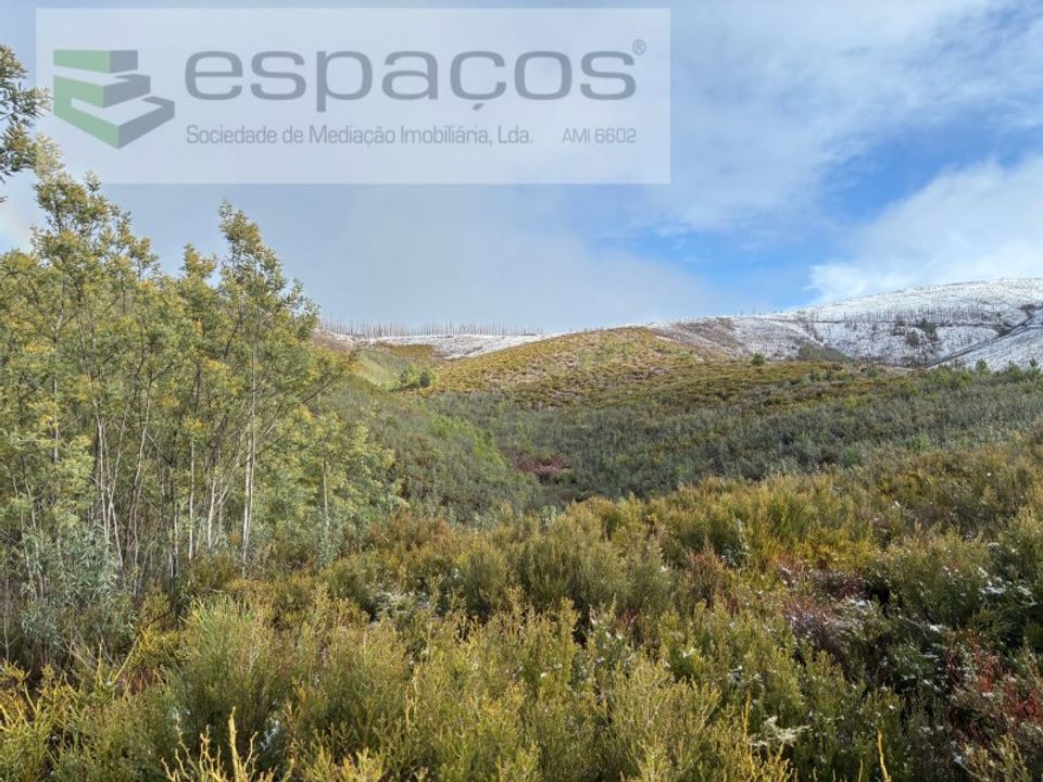 Helårsgrund i Fundao, Castelo Branco - foto 4