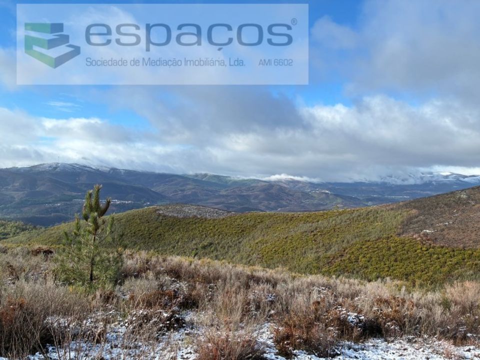 Helårsgrund i Fundao, Castelo Branco - foto 5