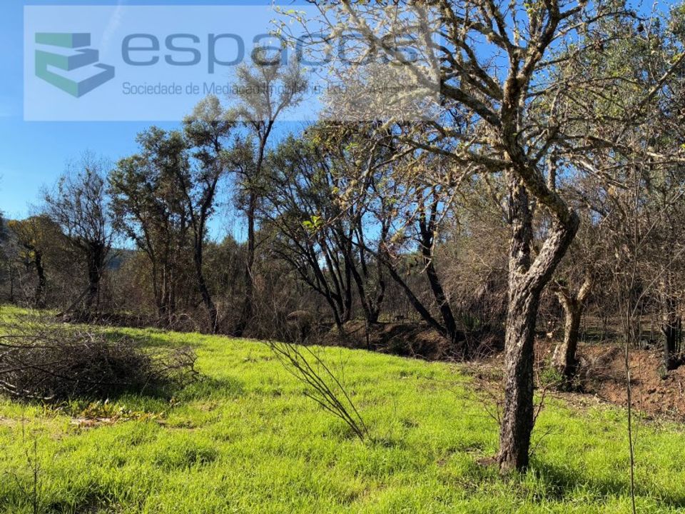 Gård i Fundao, Castelo Branco - bilde 1