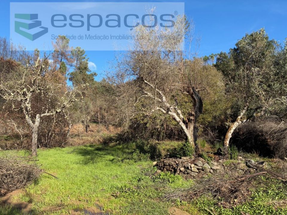 Gård i Fundao, Castelo Branco - bilde 2