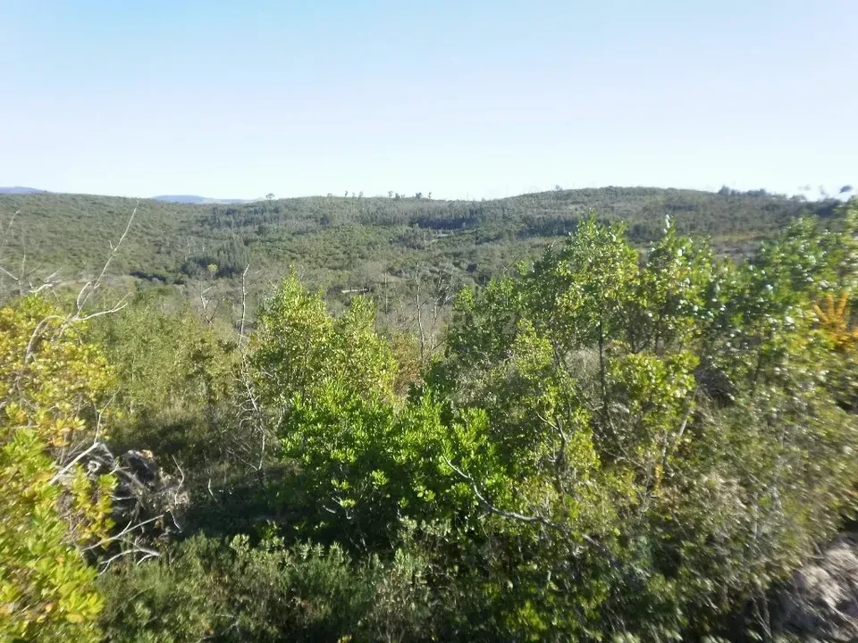 Helårsgrund i Penela, Coimbra - foto 2