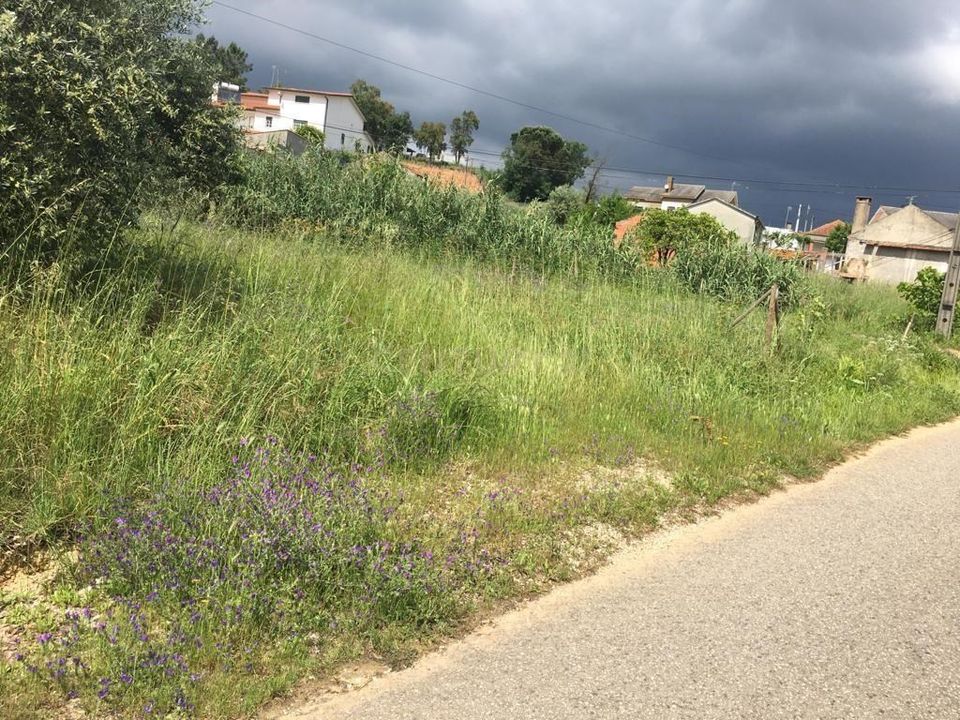 Helårsgrund i Condeixa-a-Nova, Coimbra - foto 2