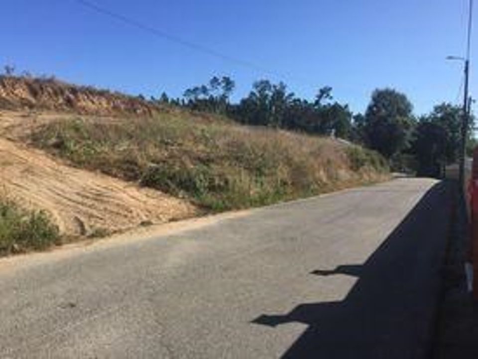 Helårsgrund i Anadia, Aveiro - foto 2