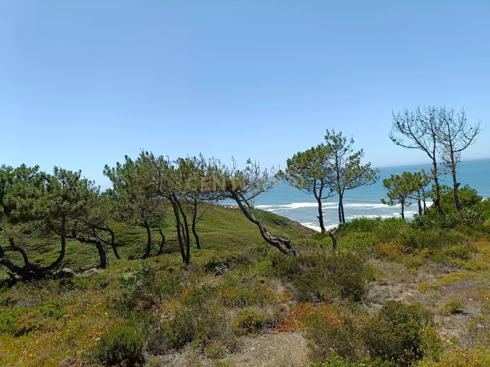 Helårsgrund i Pataias, Leiria - foto 1