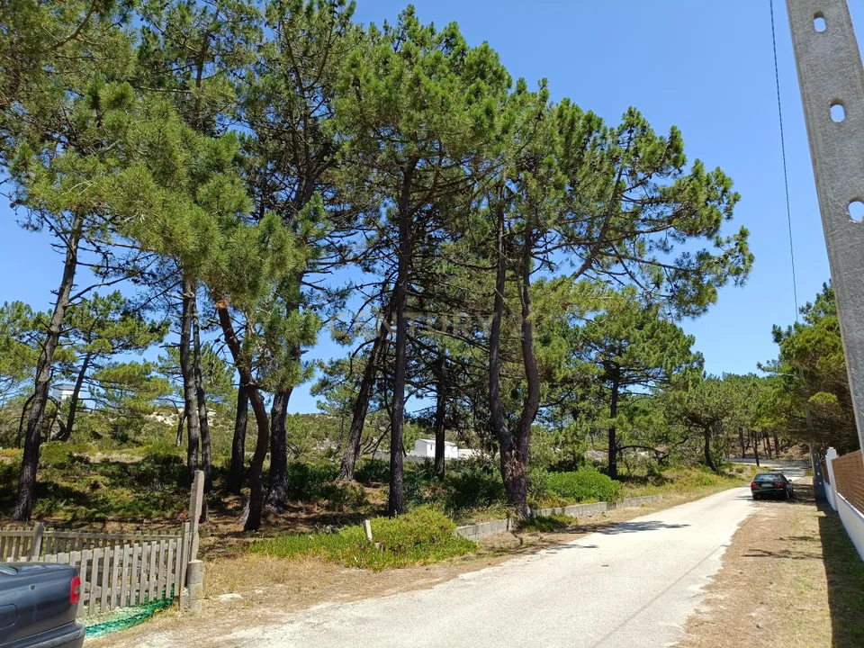 Helårsgrund i Pataias, Leiria - foto 4