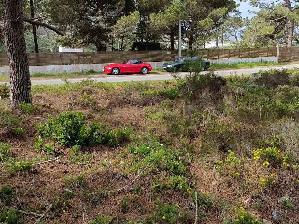 Helårsgrund i Pataias, Leiria - foto 5