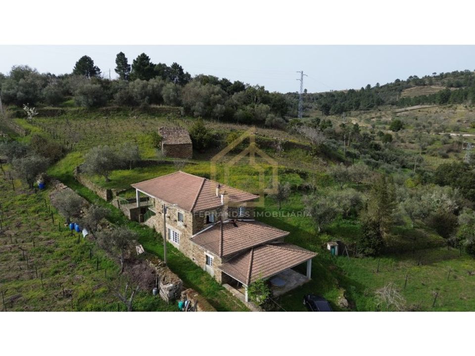 Herregård i Alijo, Vila Real - bilde 4