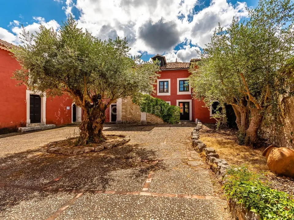 Farm hus i Gondemaria e Olival, Santarem - foto 3