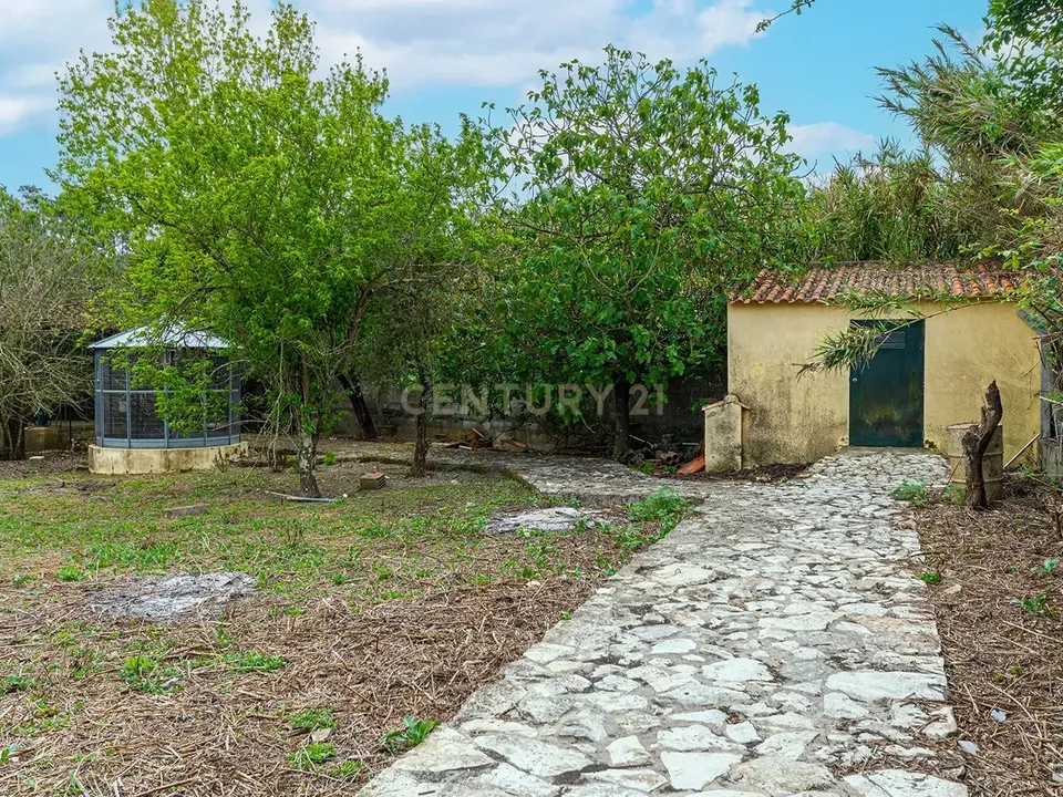 Farm hus i Cartaxo, Santarem - foto 3