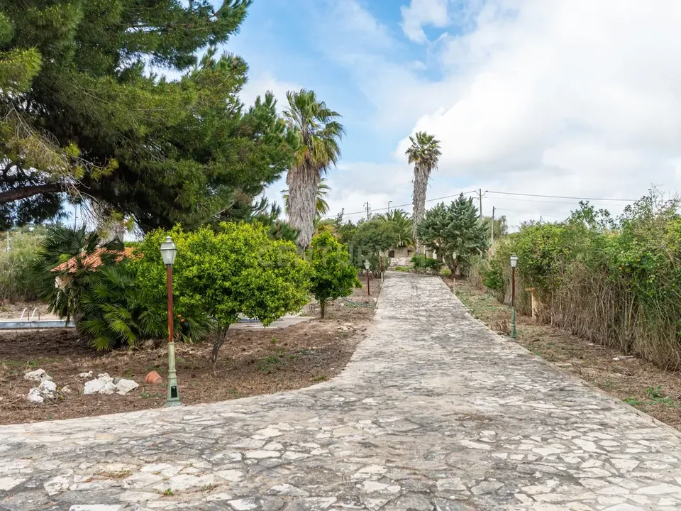 Farm hus i Cartaxo, Santarem - foto 5