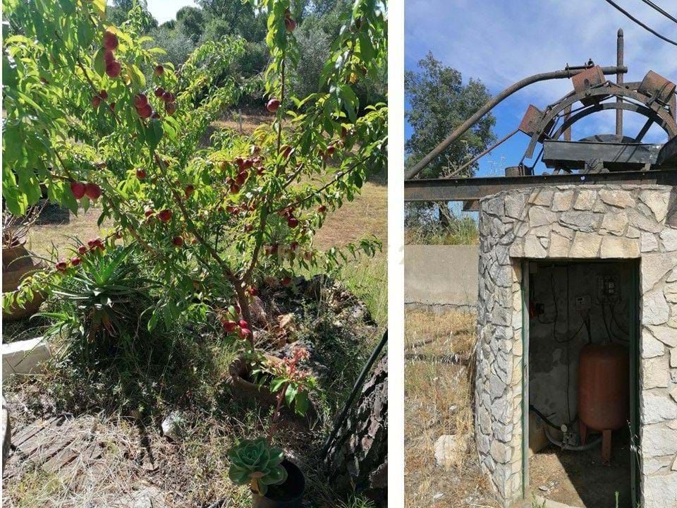 Helårsgrund i Serra, Santarem - foto 4