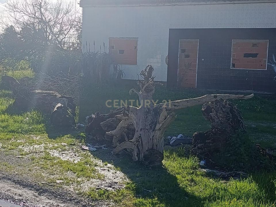 Helårsgrund i Montijo, Setubal - foto 3