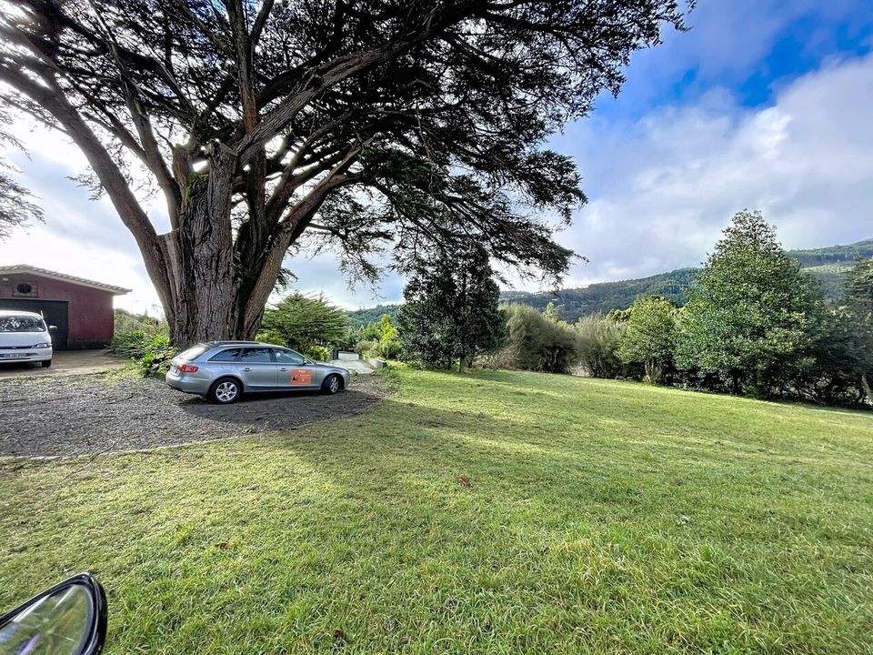 Villa i Santo Antonio da Serra, Madeira - foto 5