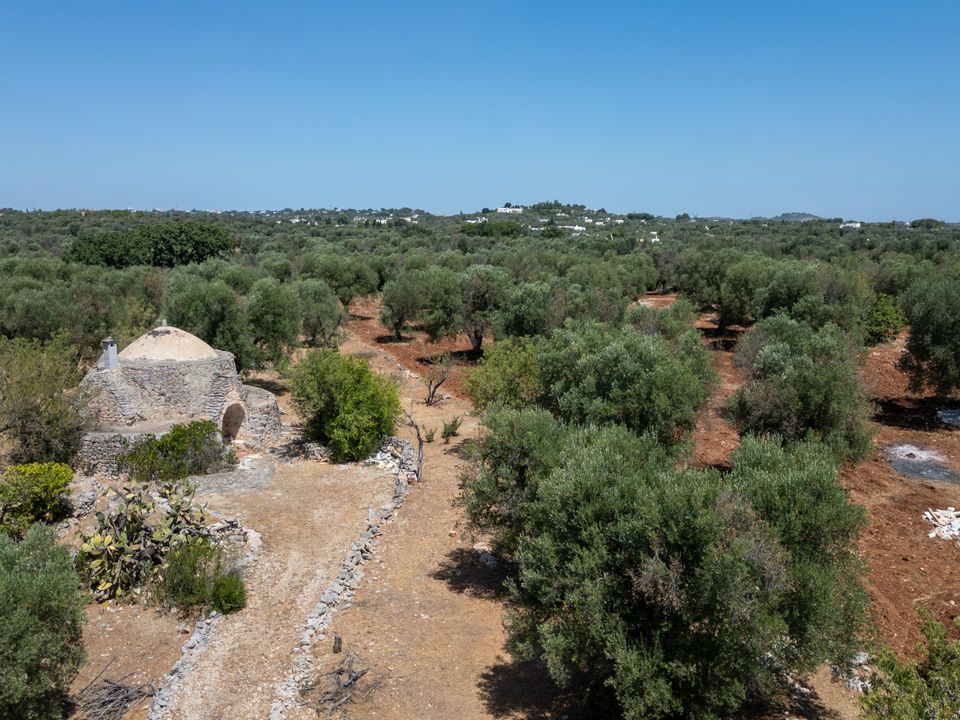 Villa i Ostuni, Brindisi - foto 2