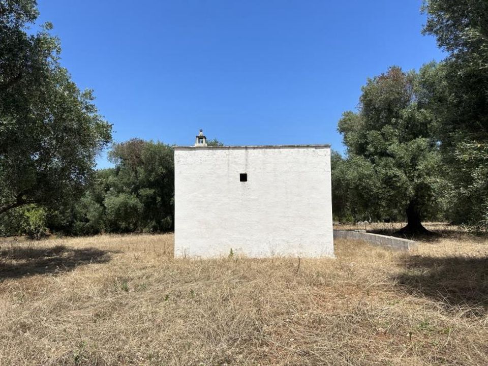Helårsgrund i Ostuni, Brindisi - foto 5
