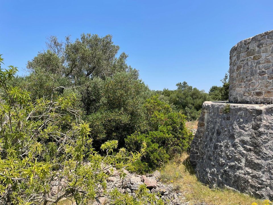 Villa i Ostuni, Brindisi - foto 2