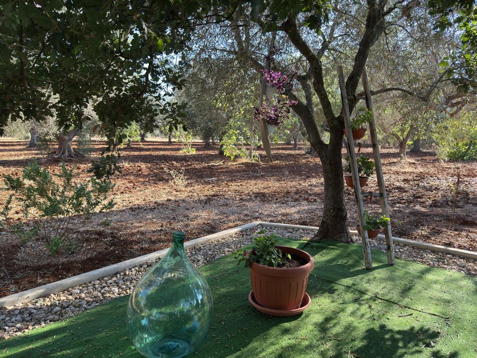 Villa i Ceglie Messapica, Brindisi - foto 5