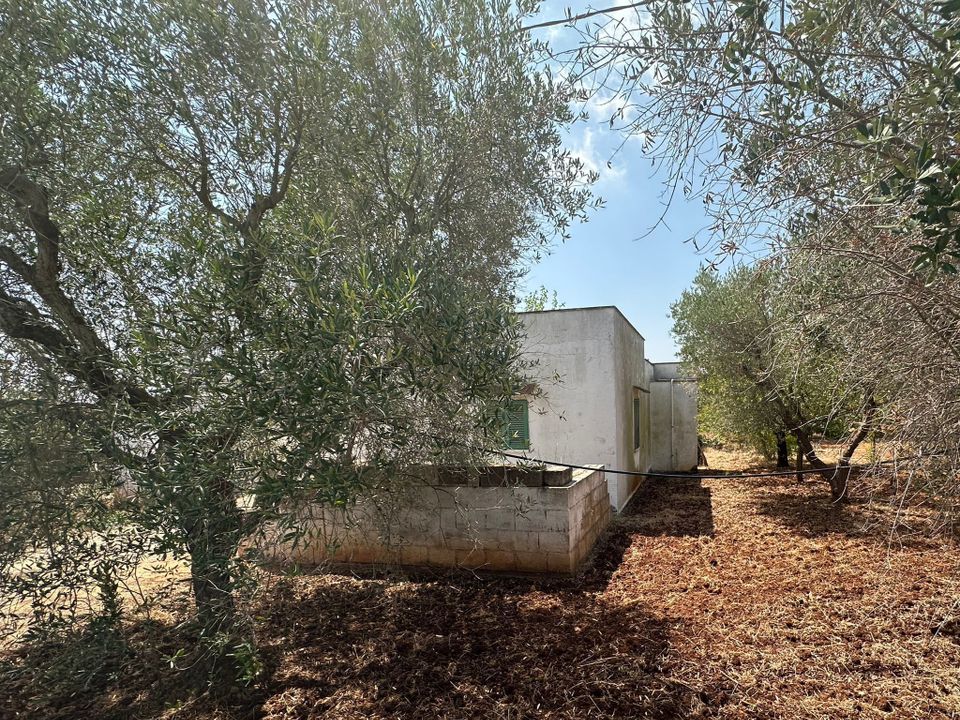 Villa i Ostuni, Brindisi - foto 5