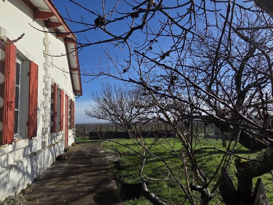 Villa i Mortagne-sur-Gironde, Charente-Maritime - bilde 1