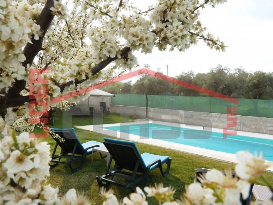 Villa i Vila Flor, Braganca - foto 4