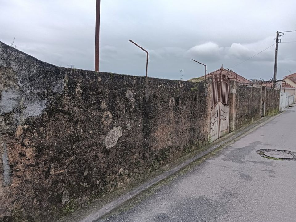Helårsgrund i Branca, Aveiro - foto 4