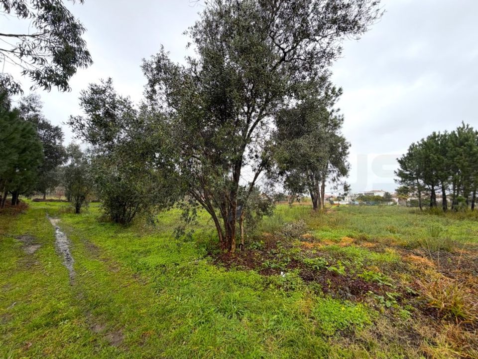 Działka: Arouca, Aveiro – zdjęcie 2