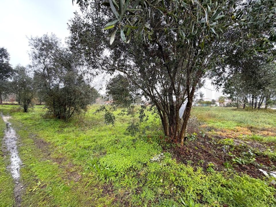 Działka: Arouca, Aveiro – zdjęcie 3