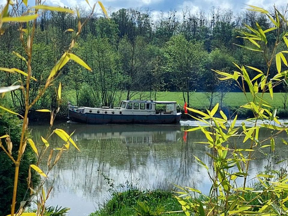 Villa i Conflandey, Haute-Saone - foto 3