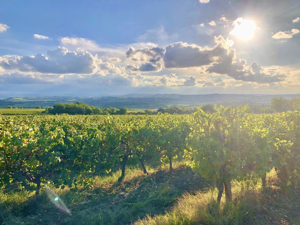 Villa i La Liviniere, Herault - foto 3