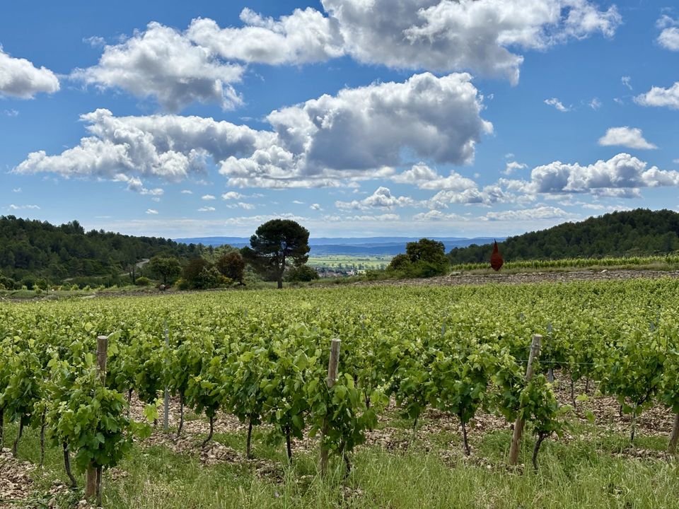 Villa i La Liviniere, Herault - foto 2