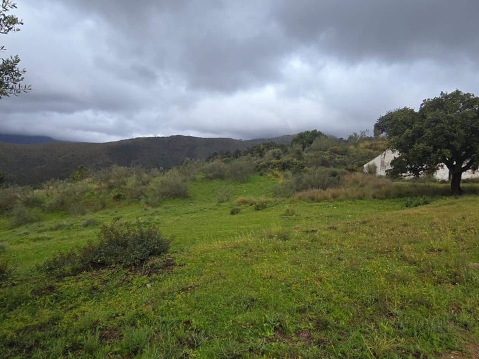 Helårsgrund i Benahavis, Malaga - foto 4