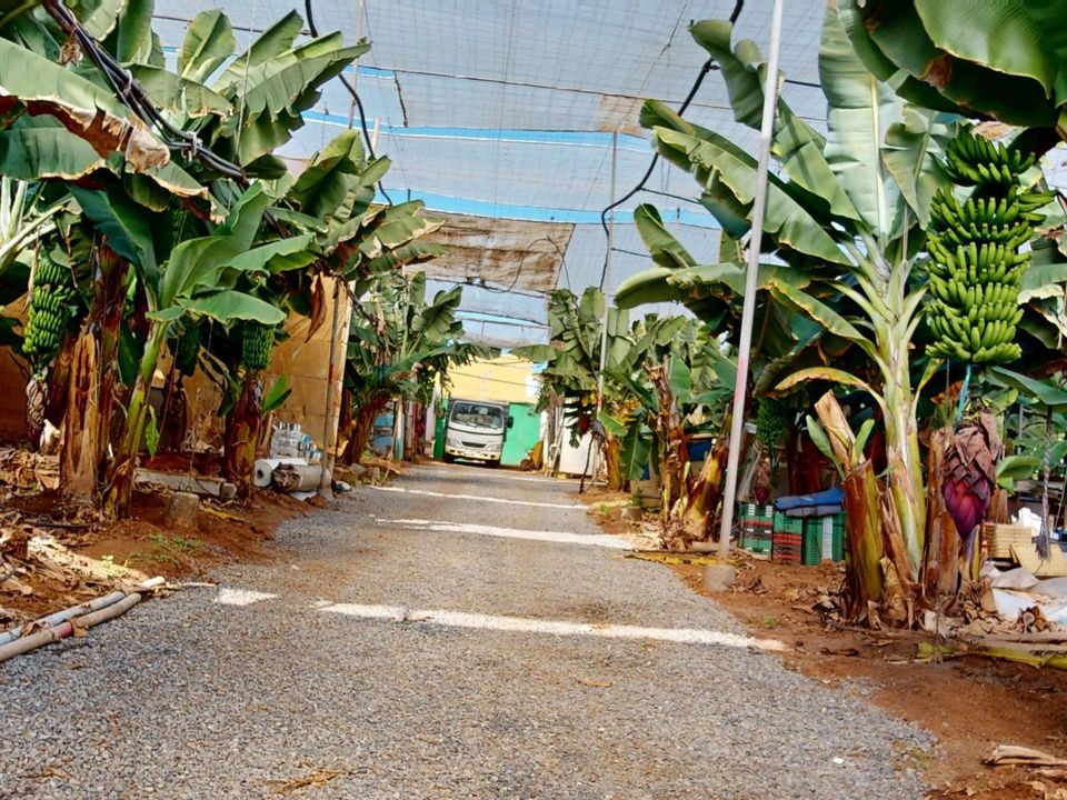 Villa i Galdar, Gran Canaria - foto 4