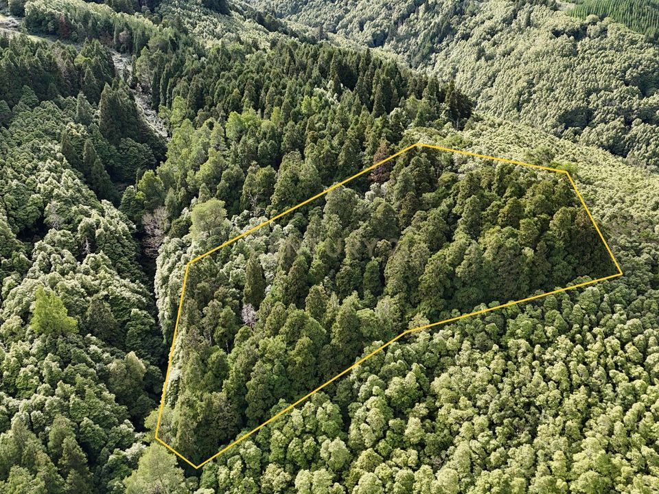 Helårsgrund i Nordeste, Sao Miguel - foto 1