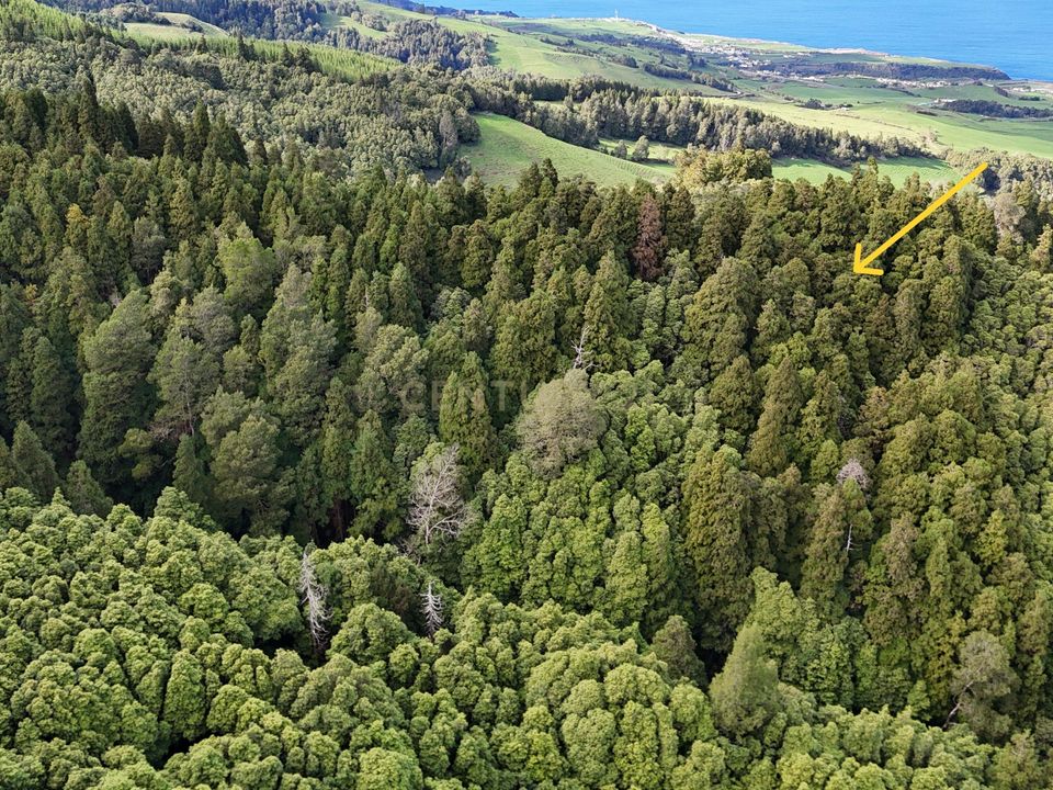 Helårsgrund i Nordeste, Sao Miguel - foto 3