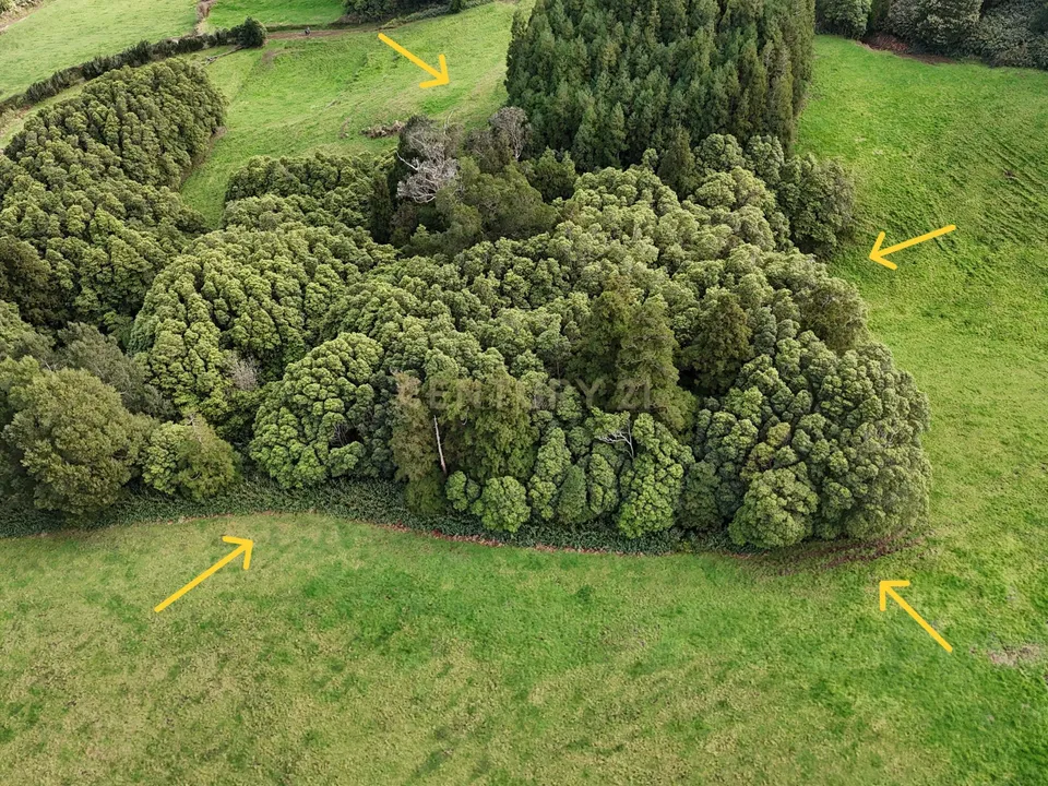 Helårsgrund i Nordeste, Sao Miguel - foto 1