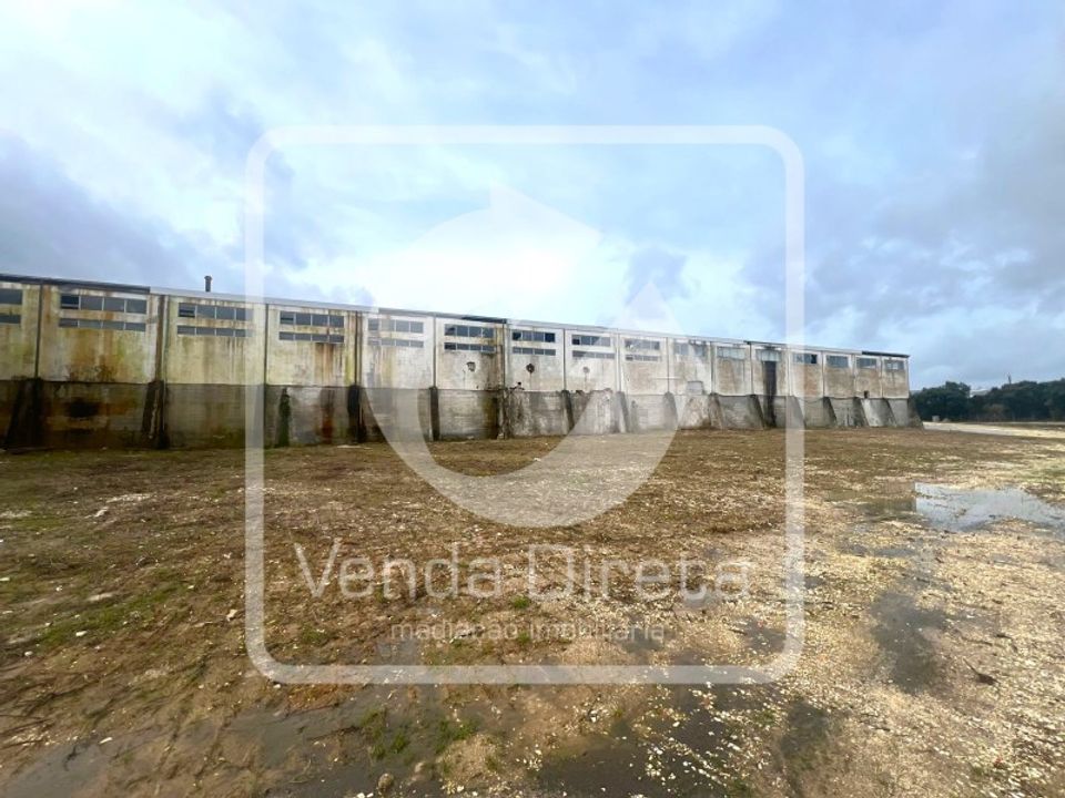 Erhvervsejendom i Torres Novas, Santarem - foto 5