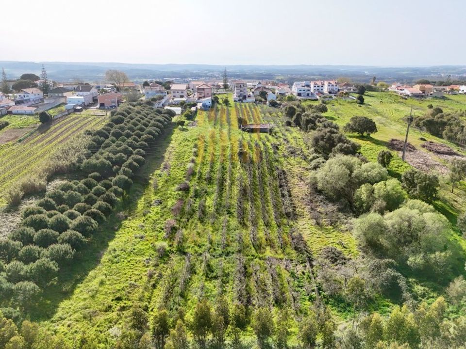 Helårsgrund i Gaeiras, Leiria - foto 4