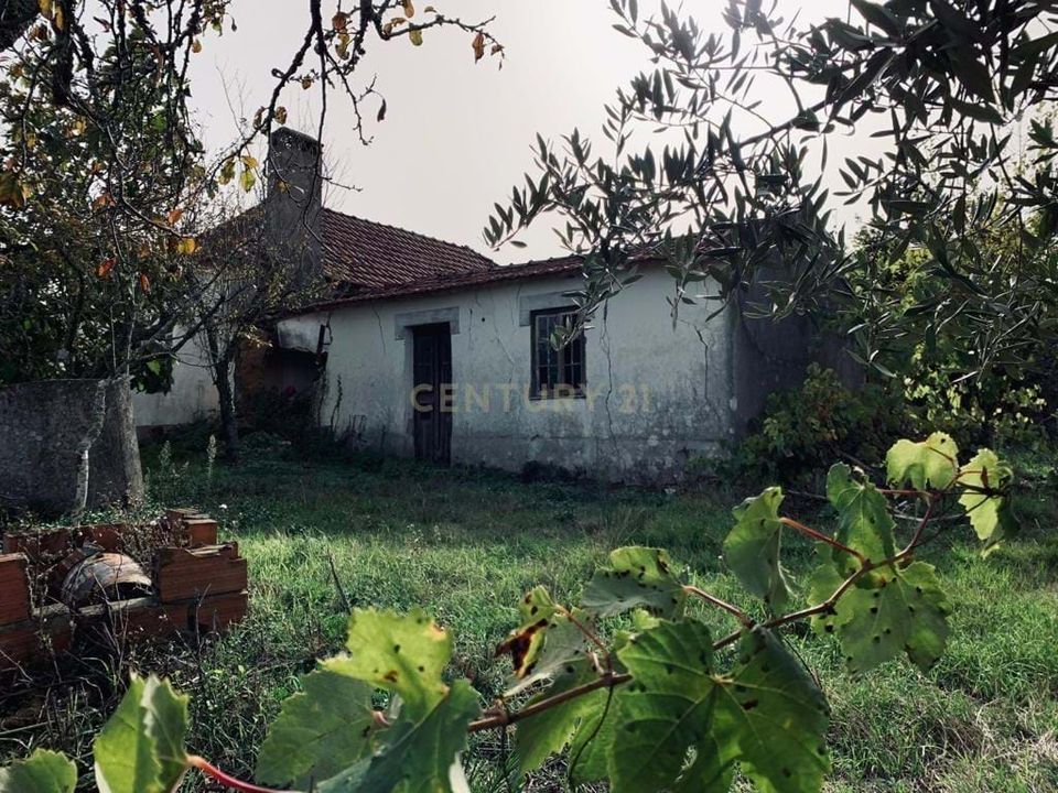 Villa i Pombal, Leiria - foto 3