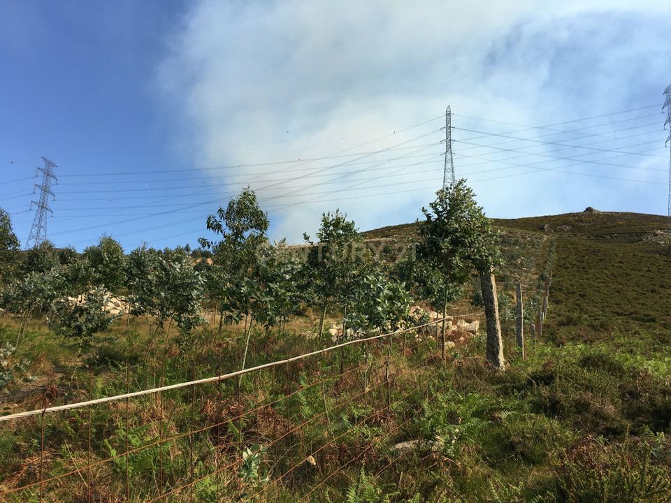 Helårsgrund i Vieira do Minho, Braga - foto 3
