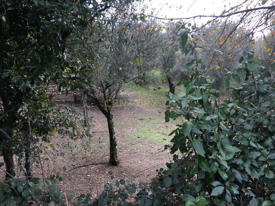 Farm hus i Vieira do Minho, Braga - foto 2