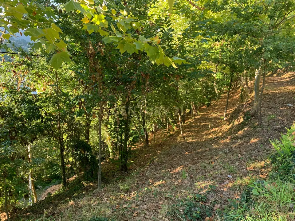 Helårsgrund i Vieira do Minho, Braga - foto 3