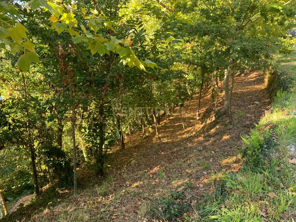 Helårsgrund i Vieira do Minho, Braga - foto 4